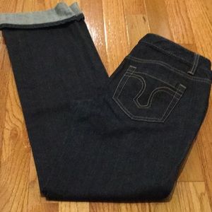 🔷 NWOT~Ann Taylor~Straight Fit Jeans~🔷